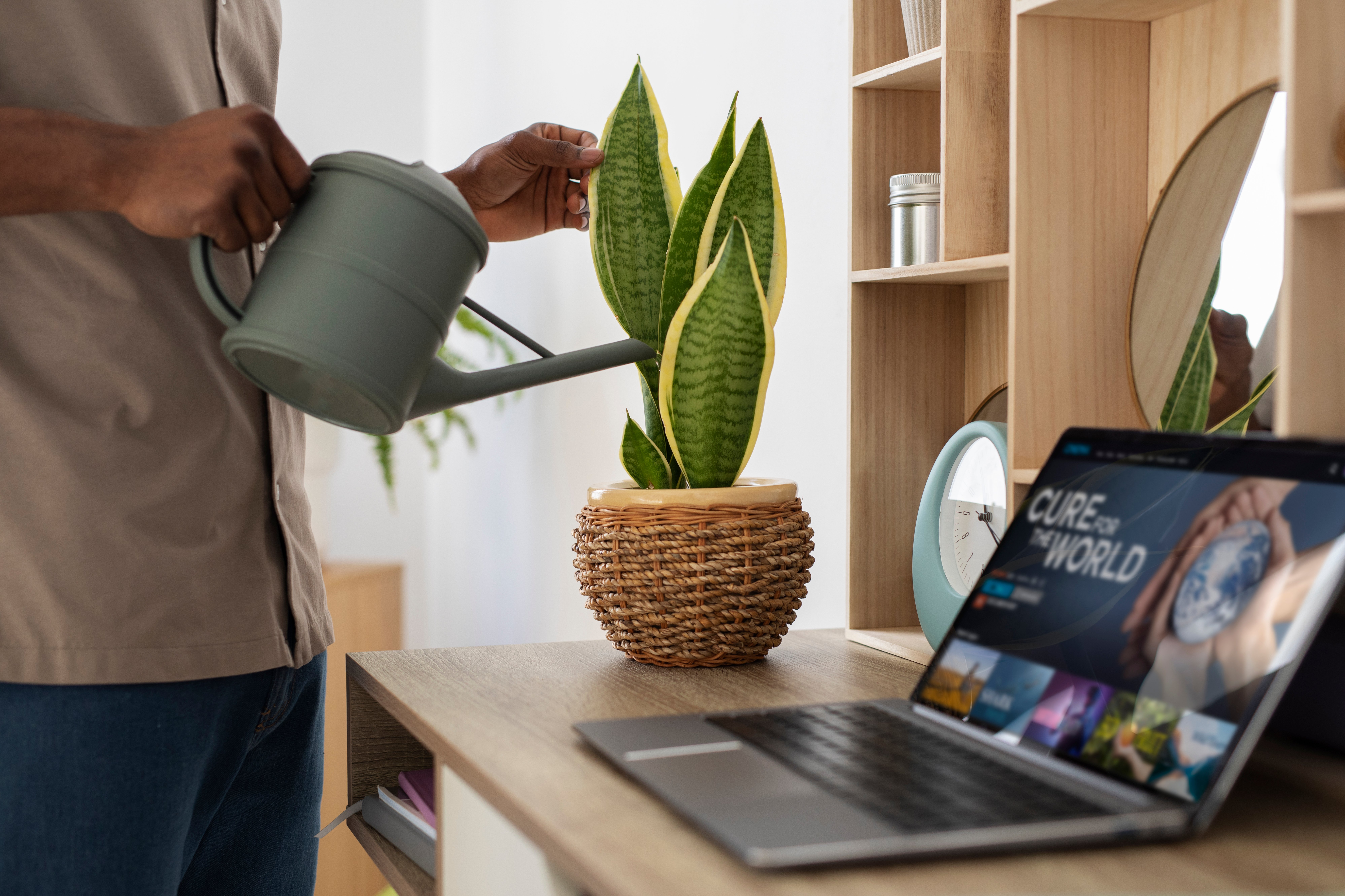 side-view-man-watering-plant-home