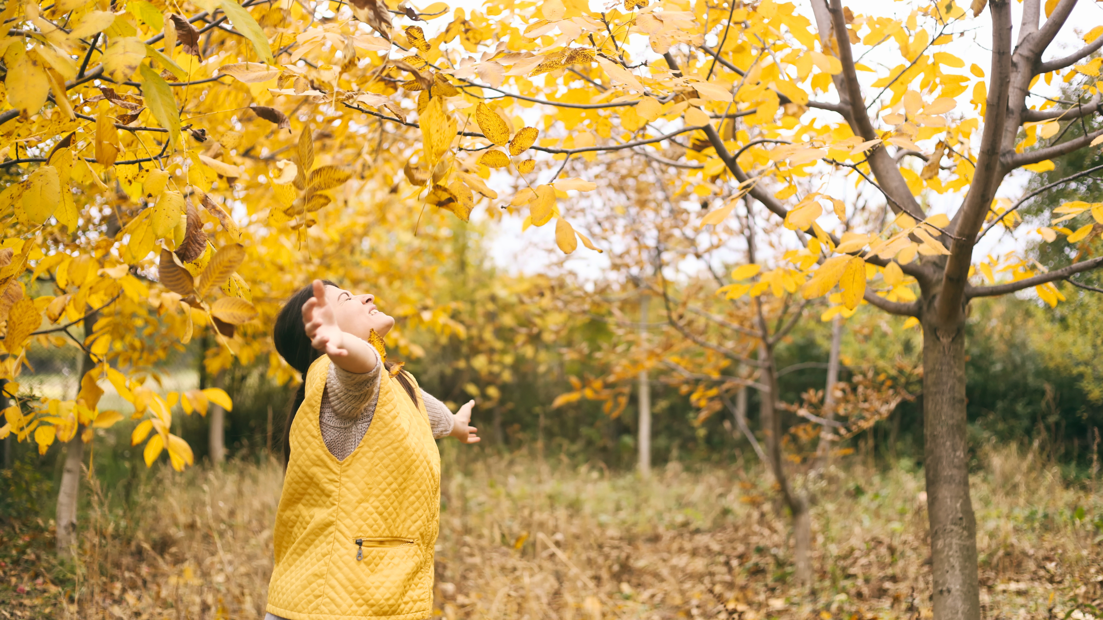 Fall in Love with Fundraising Again