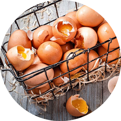 Are All Your Eggs in One Basket? Diversifying your revenue streams