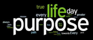 lifepurpose 2014-Jun02