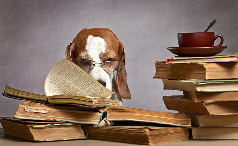 sales skills. Dog reading old books
