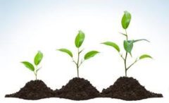 growing plants cultivate your donors