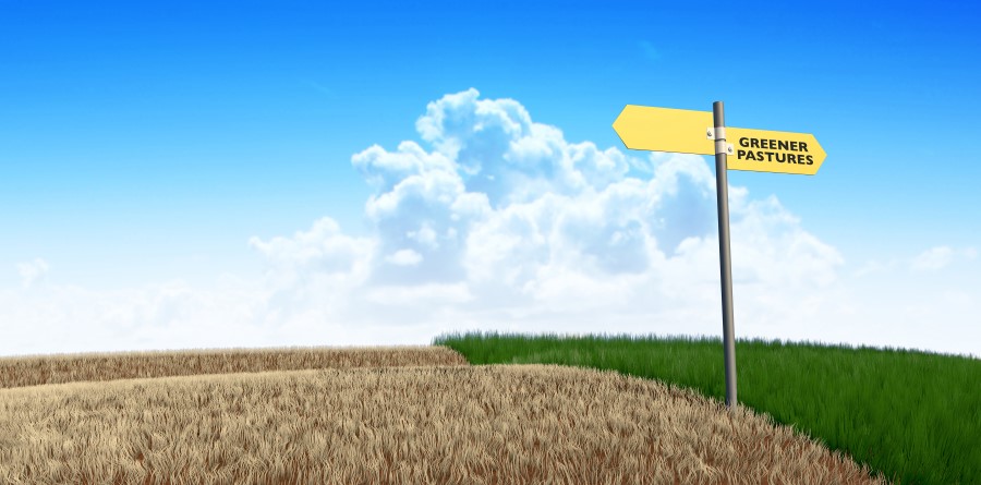 Picture of a barren field next to green pastures with a sign indicating direction of both - major gift