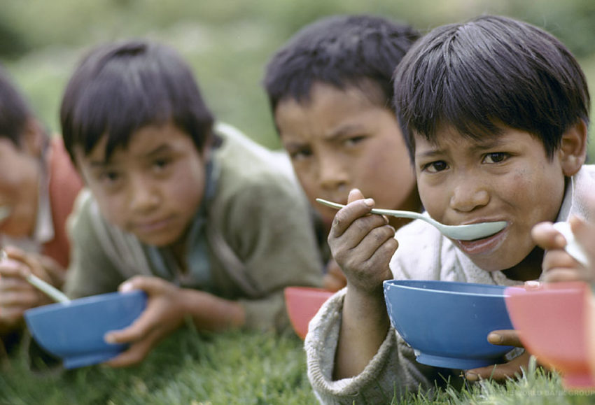 picture of young boys eating bowls of food - close to the need