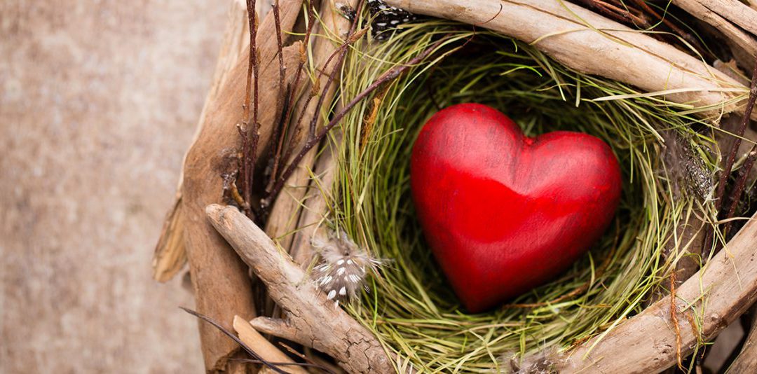 Mid-Year Check Up #5: Are You Taking Care of Your Heart?
