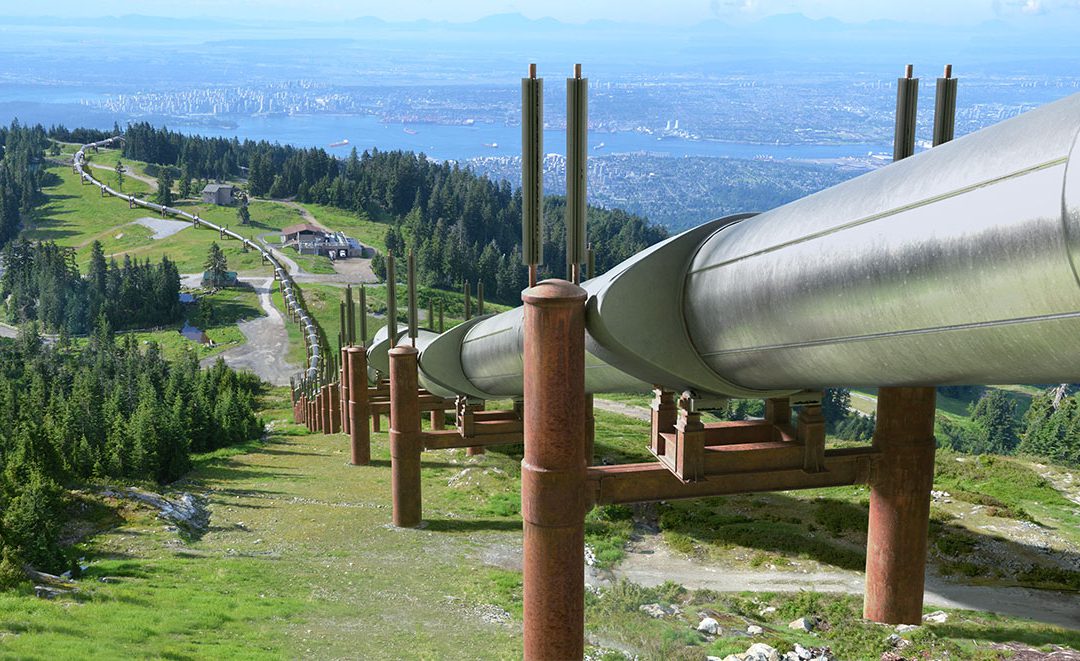 Build the University Fundraising Pipeline Immediately