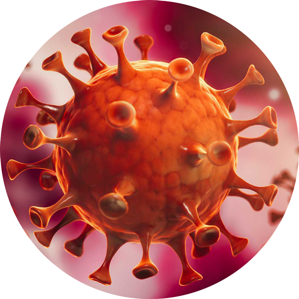 Coronavirus