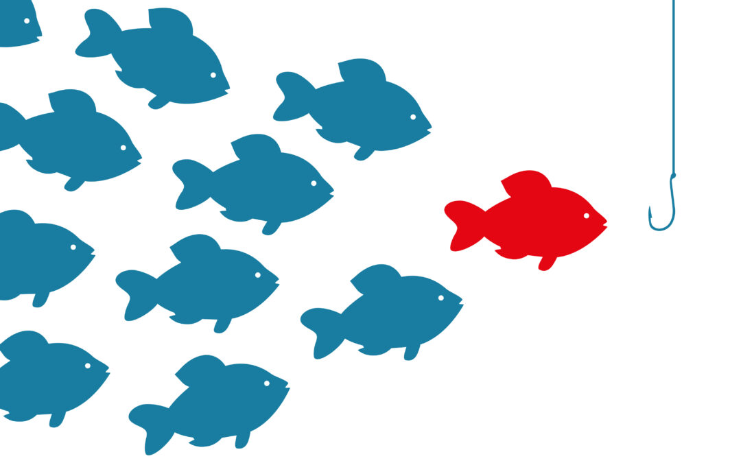 The Fish Stinks From the Head: Warning Signs of an Untrustworthy Non-Profit (Part 2 of 4)