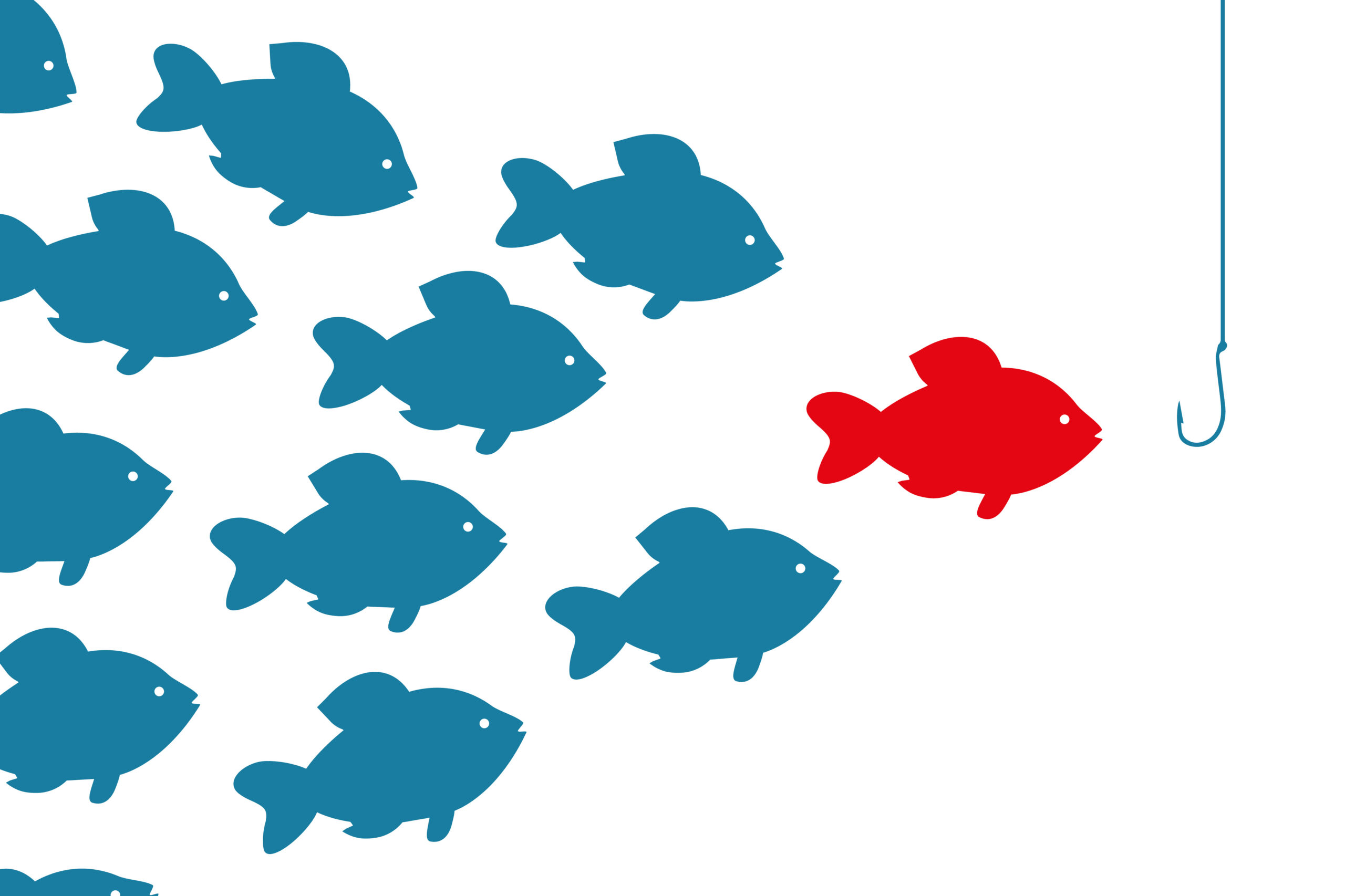 One red fish leading many blue fish. The Fish Stinks From the Head: Warning Signs of an Untrustworthy Non-Profit (Part 2 of 4)