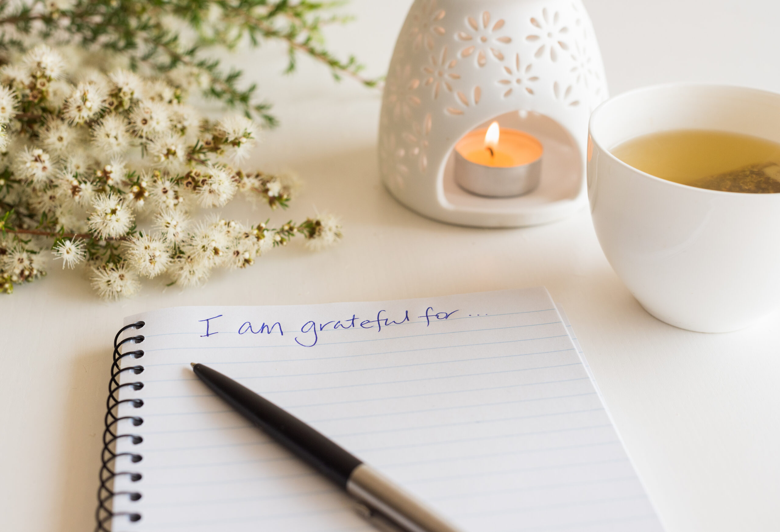 Handwritten text "I am grateful for..." [Feeling Low? Try Gratitude]